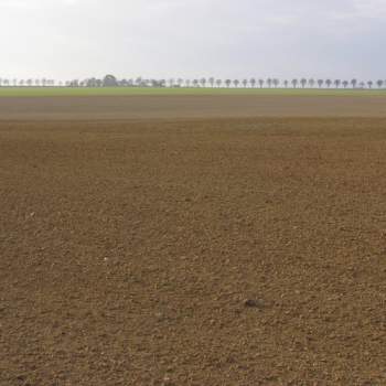 Terreno in vendita a San Possidonio (Modena)