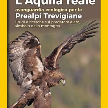 L'Aquila reale avanguardia ecologica per le Prealpi Trevigiane