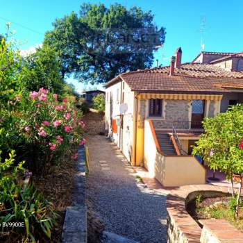 Rustico in vendita a Monte San Savino (Arezzo)