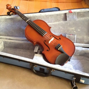 Vendo Viola 13” da studio