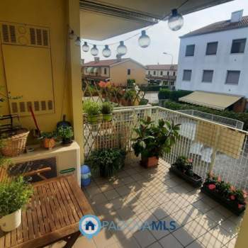 Appartamento in vendita a Padova (Padova)