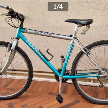 Vendo Mountain Bike usata