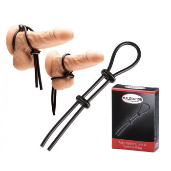 Malesation – Adjustable Cock & Testicle Ring