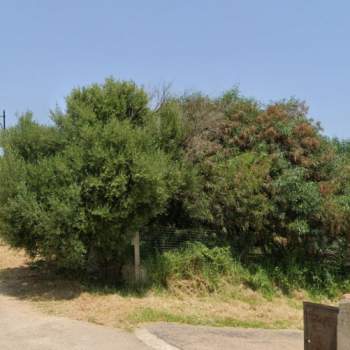 Terreno in vendita a Olbia (Sassari)