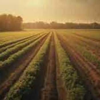 Terreno in vendita a Abano Terme (Padova)