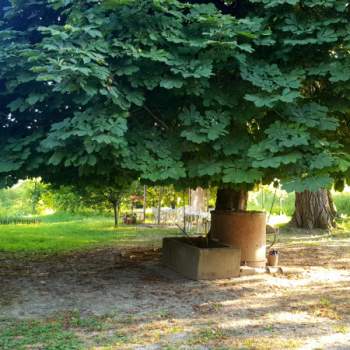 Casa singola in vendita a Campogalliano (Modena)