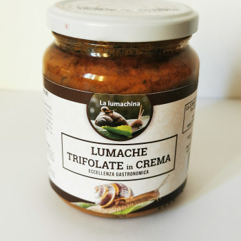 Lumache trifolate in crema 