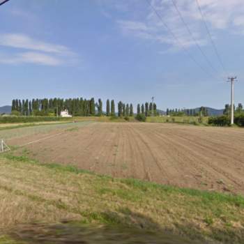 Terreno in vendita a Pernumia (Padova)