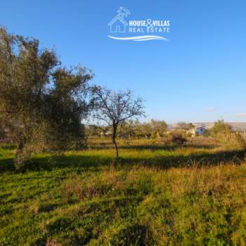 Terreno in vendita a Noto (Siracusa)