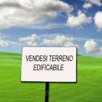 LOTTO DI TERRENO EDIFICABILE INDUSTRIALE RIF. TL- 24