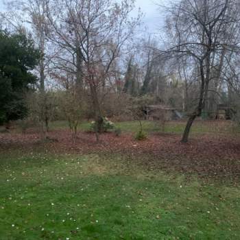 Terreno in vendita a Piombino Dese (Padova)