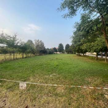 Terreno in vendita a Scorz&egrave; (Venezia)