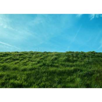 Terreno in vendita a Piombino Dese (Padova)