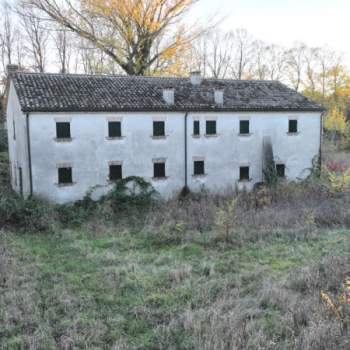 Quadrifamiliare in vendita a San Pietro Viminario (Padova)