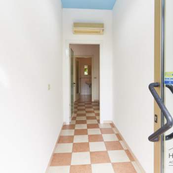 Negozio in affitto a Venezia (Venezia)