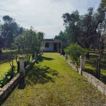 Villa in vendita a San Vito dei Normanni (Brindisi)