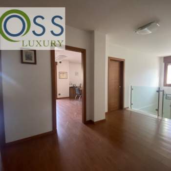 Ufficio in vendita a Padova (Padova)