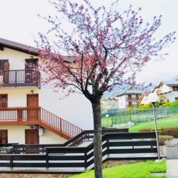 Appartamento in vendita a Castello Tesino (Trento)