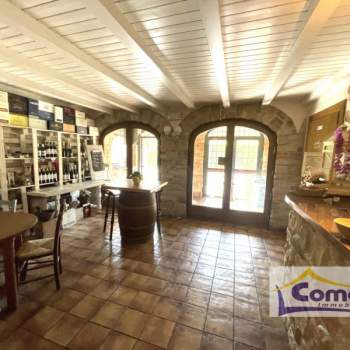 Attivita commerciale in vendita a Vo' (Padova)