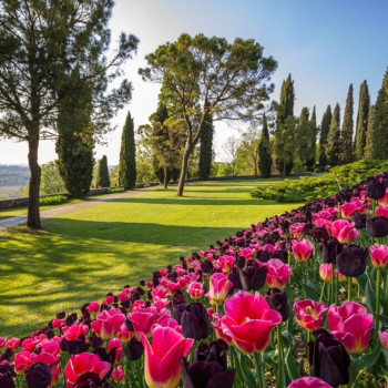 PARCO GIARDINO SIGURTA'