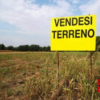 Terreno in vendita a Pernumia (Padova)
