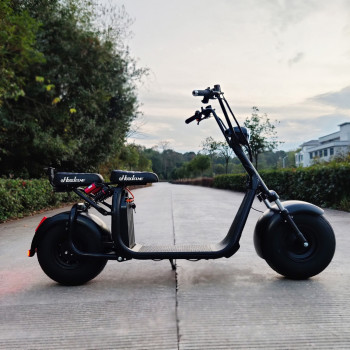 Vendo moto scooter elettrico 3000w 60v