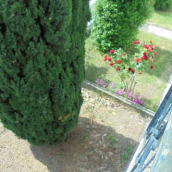 Casa singola in vendita a Riva del Po (Ferrara)