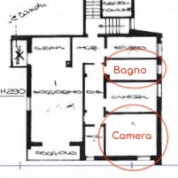 Stanze in affitto a Padova (Padova)