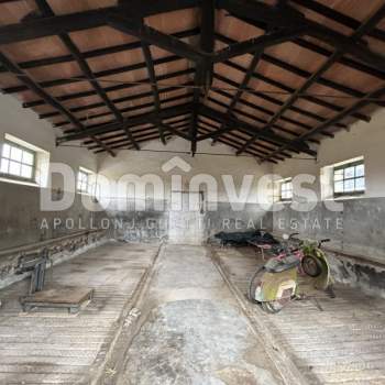 Rustico in vendita a Capalbio (Grosseto)