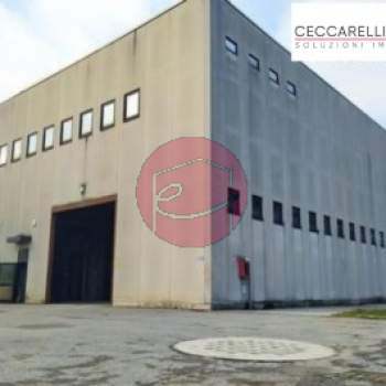 Capannone in vendita a Cesena (Forl&igrave;-Cesena)