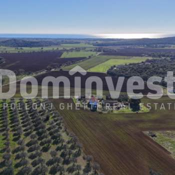 Rustico in vendita a Capalbio (Grosseto)