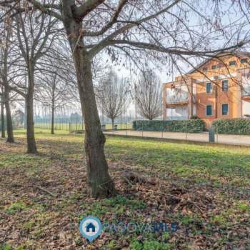 Appartamento in vendita a Saccolongo (Padova)