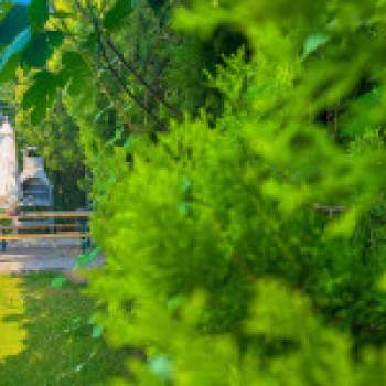 Bifamiliare in vendita a Padova (Padova)