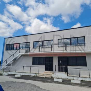 Capannone in affitto a Pomezia (Roma)