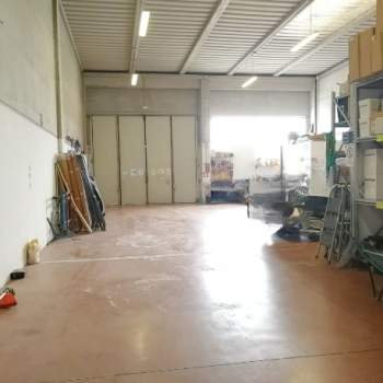 Capannone in affitto a Rovigo (Rovigo)