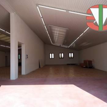 Capannone in affitto a Trebaseleghe (Padova)