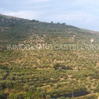 Terreno in vendita a Castellaro (Imperia)