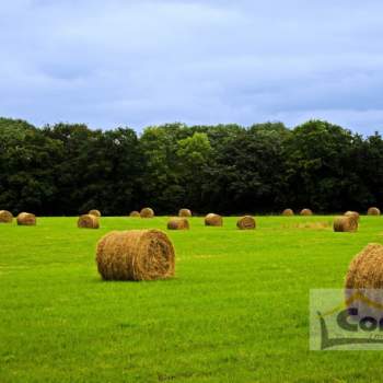 Terreno in vendita a Teolo (Padova)