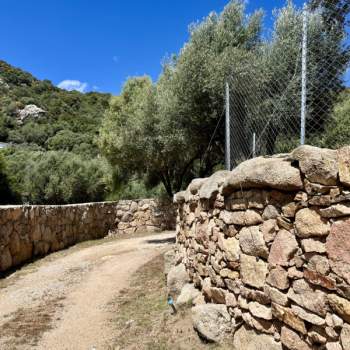 Bifamiliare in vendita a Olbia (Sassari)