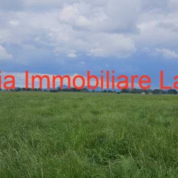 Terreno in vendita a Vescovana (Padova)