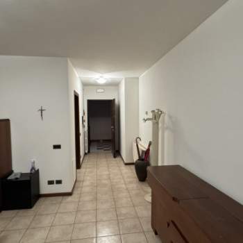 Appartamento in affitto a Padova (Padova)