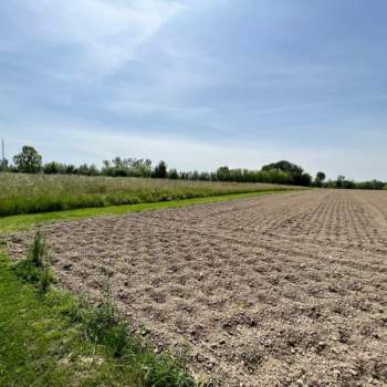 Terreno in vendita a Vigonovo (Venezia)