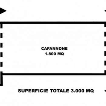 Capannone in affitto a Savignano sul Rubicone (Forlì-Cesena)