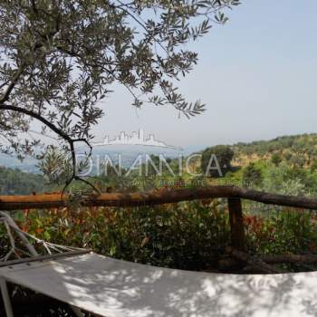 Agriturismo in vendita a Vinci (Firenze)
