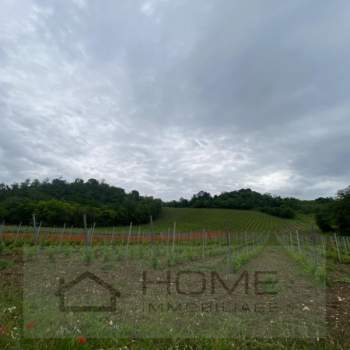 Terreno in vendita a Albettone (Vicenza)