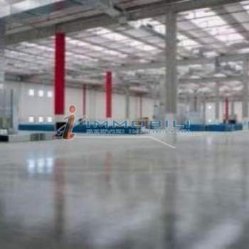 Magazzino in affitto a Settala (Milano)