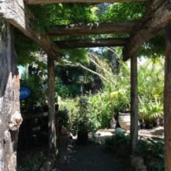 Rustico in vendita a Polverara (Padova)