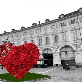 Cerco uomo serio Torino