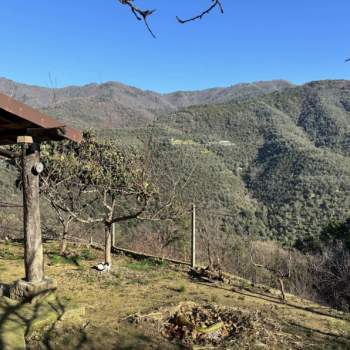 Casa singola in vendita a Ceriana (Imperia)