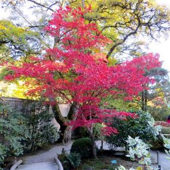 Bifamiliare in vendita a Padova (Padova)